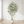 8FT Artificial Olive Tree With Big Decorative