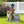 Sitting Akita Dog Planter Garden Decor