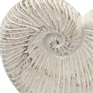 11.5x6.7x7.7" Sand and Cement Nautilus Shell Planter with Textured Beige Finish