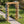 Wedding Arbor With Trellis Design