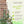 Dura-Trel Winchester 57 x 95 Inch PVC Vinyl Outdoor Garden Patio Trellis, White