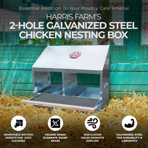 Harris Farms 2 Hole Chicken Nesting Box w/ Front and Back Panels & Folded Edges