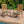 Outdoor Chair Cushions Set of 2, 19 x 19 x 4 Inch Tufted Seat Cushions