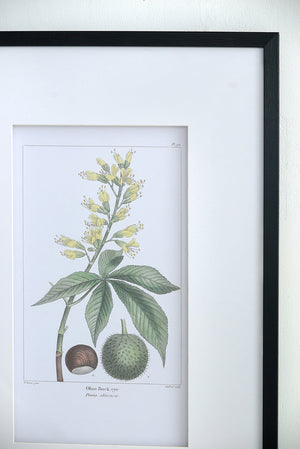 19.7x27.6 Botanical Wall Arts, Set of 2