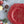 Plastic Charger Plate (Set of 8)