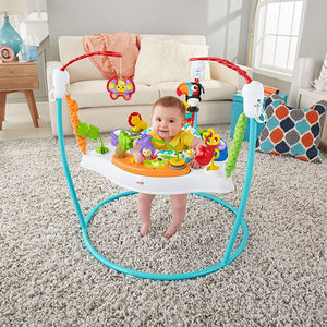 Fisher-Price Colorful Light Up Comfy Animal Activity Baby Jumperoo Bouncer Toy