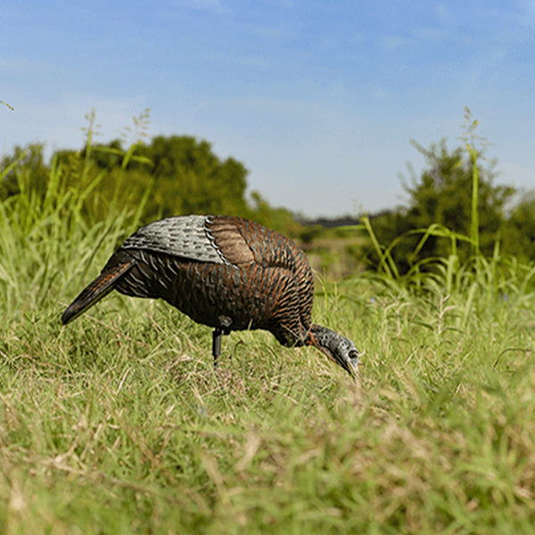 Flextone FLXDY314 Thunder Chick Feeder Portable Hen Decoy For Turkey Hunting