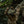 M-Tac Patch HMMWV PVC