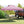 10 X 10 FT Foldable Outdoor Patio Shelter Canopy Tent with 1-Push Center Lock