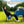 Foldable Rocking Padded Portable Camping Chair with Backrest and Armrest