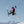 Fresh Pow Men's Ski & Snowboard Jacket - Neon Pink, Purple & Black - TRAPSKI
