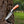 Cowboy Hunting Knife Rasp D2 Steel Turquoise Handle