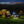 CL20R Pro Smart Multicolor Camping Lantern