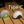 CL20R Pro Smart Multicolor Camping Lantern