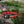 Fenix HL16 Lightweight Outdoor Hiking LED Headlamp
