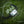 Fenix HL17R Multicolor 2-in-1 Headlamp