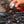 Fenix HL32R-T Trail Running LED Headlamp - 800 Lumens