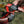 Fenix HP12R-T Balanced Trail Headlamp