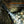 Fenix LD35R High Performance Multimode Flashlight