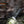 Fenix LR40R V2.0 Rechargeable LED Searchlight