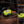 Fenix WH23R Gesture Sensing Industrial LED Headlamp