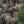M-Tac Pouch M249 Ammo Box Fast