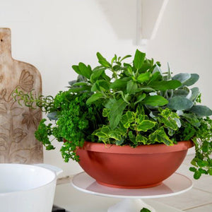 HC Companies 18 Inch Resin Garden Bowl Planter Pot, Terra Cotta Clay (2 Pack)