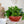 The HC Companies 18 Inch Resin Garden Bowl Planter Pot, Terra Cotta (4 Pack)
