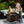 Endless Summer 44 Inch Rectangular Outdoor Gas Fire Table Pit with 40,000 BTU