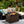 Endless Summer 44 Inch Rectangular Outdoor Gas Fire Table Pit with 40,000 BTU