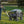 Gorilla Carts Steel Utility Cart Garden Beach Wagon, 900 Pound Capacity, Gray