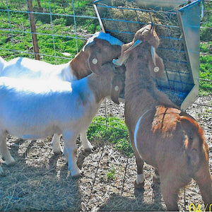 Little Giant Classic Heavy-Duty Galvanized Metal 2-in-1 Goat and Sheep Feeder - TRAPSKI