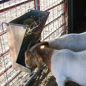 Little Giant Heavy-Duty Galvanized Metal 2-in-1 Goat and Sheep Feeder (2 Pack) - TRAPSKI