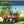 Gorilla Cart 800 Pound Capacity Heavy Duty Steel Mesh Utility Wagon Cart, Red