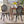 Dining Chair MP2 (Set of 2)