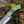 Hand Engraved D2 Hunting Knife | Camel Bone Handle