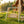 Handcrafted Patio Wooden Swing