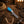 Handmade Turquoise Cowboy Bull Cutter Knife – 1095 Damascus Steel with Side Pancake Leather Sheath