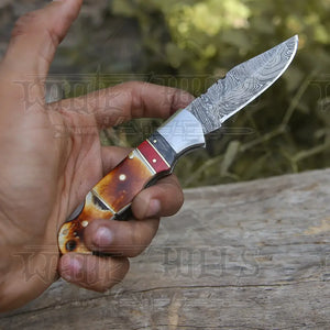 Handmade Damascus Steel Hunting Pocket Knife Camping Folding Blade With Cocobolo Wood Handle WH 4426