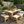Handmade Rustic Outdoor Picnic Table