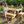 Handmade Rustic Outdoor Picnic Table