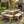 Handmade Rustic Outdoor Picnic Table