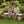 Handmade Solid Wooden Bench