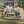 Handmade Wooden Chairs