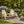 Handmade Wooden Chairs