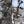 Muddy Ambush MSH500 Hunting Quick Release Deer Stand Safety Harness  (2 Pack)