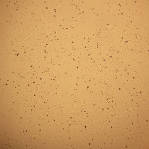 Hamilton Beach 11 Inch Forged Aluminum Terracotta Nonstick Coated Griddle Pan