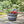 Southern Patio HDR-055457 Resin Whiskey Barrel Garden Planter Pot, Gray (2 Pack)