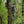 Hawk Hammock Apex Full Platform, Tree Digger Teeth, Silent Strap (HWK-HHFP)