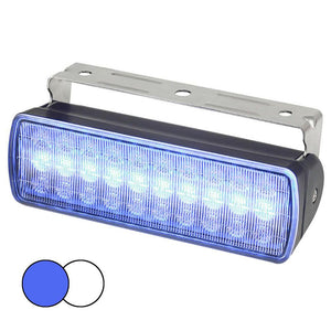 Hella Marine Sea Hawk XL Dual Color LED Floodlights - Blue/White LED - Black Housing - TRAPSKI
